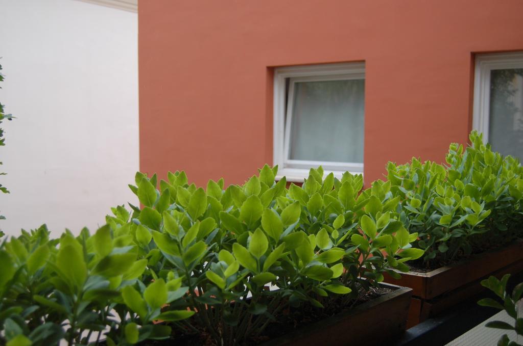 Buda Castle Apartments Budapešť Pokoj fotografie